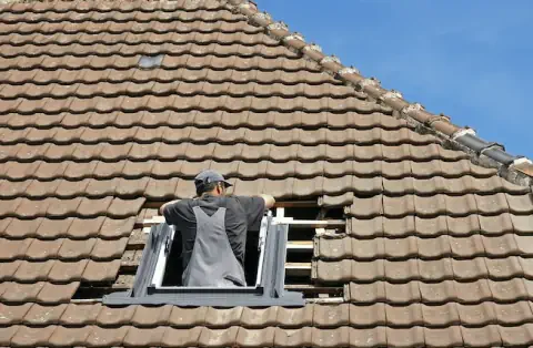 Pose de velux - Orléans